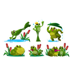 Cute Frog Cartoon Character Mascot