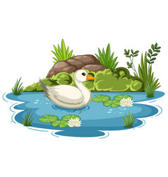 A Peaceful Duck Floating In A Tranquil Pond