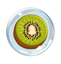 Healthy Green Kiwi In Air Bubble Isolated