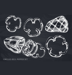 Set Hand Drawn Chalk Grilled Bell Pepper