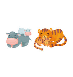 Mother And Baby Animals Set Hippo And Tiger Moms