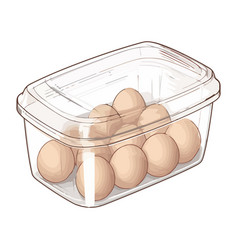 Fresh Organic Eggs In Plastic Container Isolated