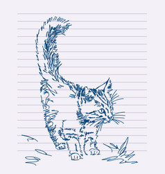 Hand Drawn Kitty