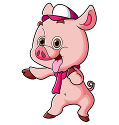 Cool Pig Is Wearing A Cap And Scarf While Taunting