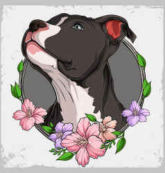 Strong Black American Pit Bull Terrier Dog Head