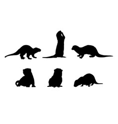 Set Of Silhouettes Of Otters