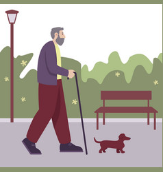 Adult Senior Man With Cane Walking Small Dog