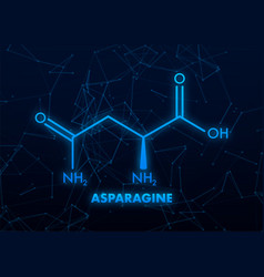 Molecular Biology Asparagine L-asparagine Asn