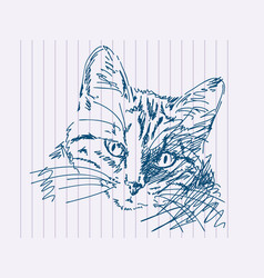 Hand Drawn Cat