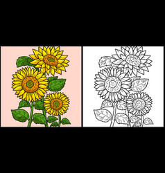 Sunflower Coloring Page Colored