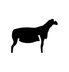 Dorper Sheep Glyph Icon