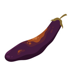 Old Rotten Eggplant