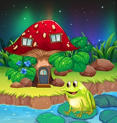 A Frog Near The Giant Red Mushroom House