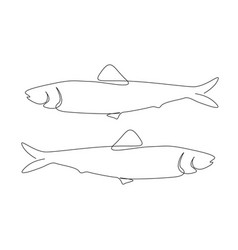 Continuous One Line Drawing Of Sardine Fish