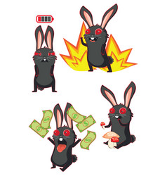 Black Rabbit In Different Situations