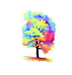 Colorful Autumn Watercolor Forest Tree