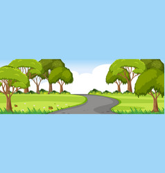 Road Through Park Horizontal Landscape Scene