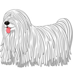 Komondor Dog Breed