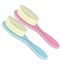 Two Hairbrushes On A White Background