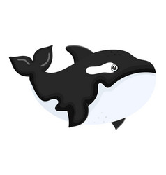 Ocean Killer Whale Aquatic Creature Icon Isolated