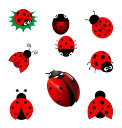 Ladybugs Vector Images (over 14,000)