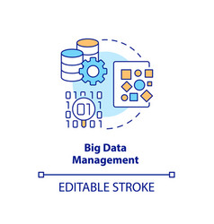 Big Data Management Concept Icon