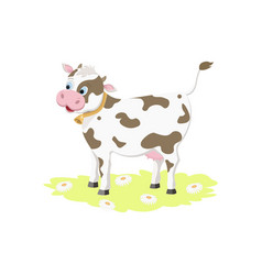 A Beautiful Cheerful Young White Cow With Bell