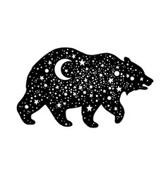 Bear Star Constellation Silhouette Astrology Sky