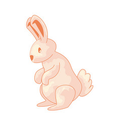 Flat Rabbit Sitting