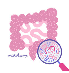 Gut Microbiota Viewed Under A Magnifying Glass