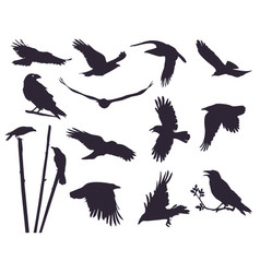 Set Of Crows 13 Pieces