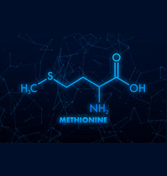 Icon With Methionine Formula Amino Acid Molecule