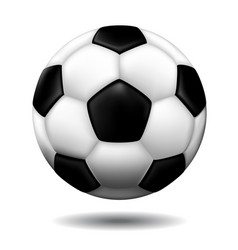 Leather Soccer Ball