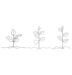 Single Continuous Line Art Growing Sprout