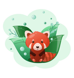 Cute Red Panda