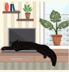 Black Cat Lies And Sleeps On A Laptop