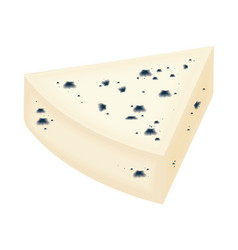 Piece Blue Cheese Realistic