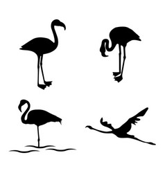 Flamingo Icon