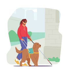 Blind Female Character With A Guide Dog Walks