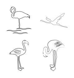 Flamingo Icon