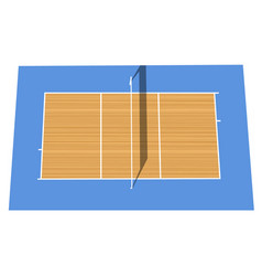 Volleyball Court