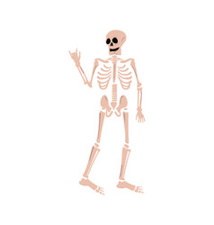 Flat Rock N Roll Skeleton