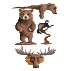 Hunting Trophies Bear Deer And Other Animals