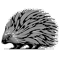 Sleek Contemporary Hedgehog Mastery