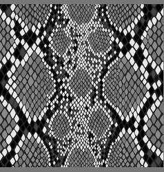 Seamless Snake Skin Pattern Exotic African