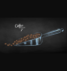 Sketch Of Metal Coffee Scoop With Beans