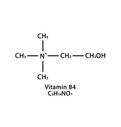 Vitamin B4 Choline Molecular Structure B4