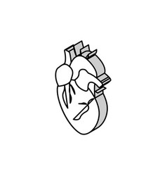 Heart Human Organ Isometric Icon