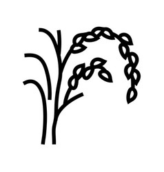 Rice Plant Healthy Line Icon