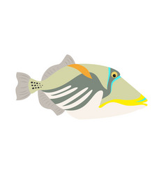 Picasso Triggerfish Fish Icon On White Background